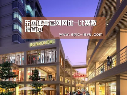 案例展示一(图1)