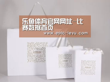 项目名称十一