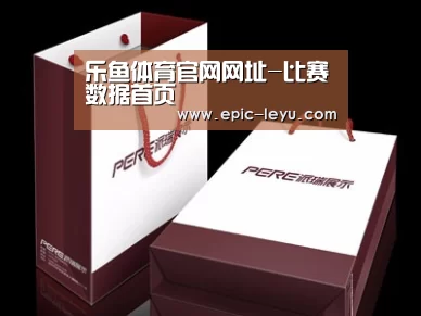 项目名称十二