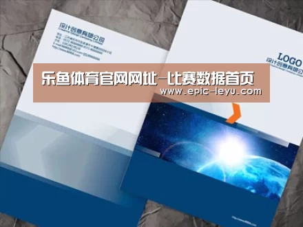 项目名称十