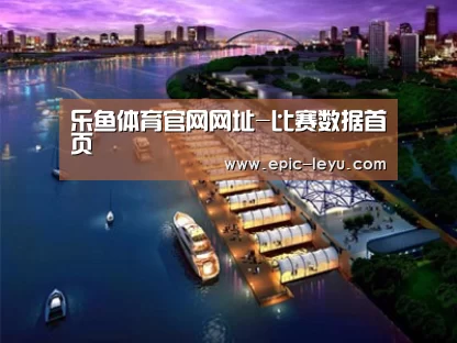 案例展示八