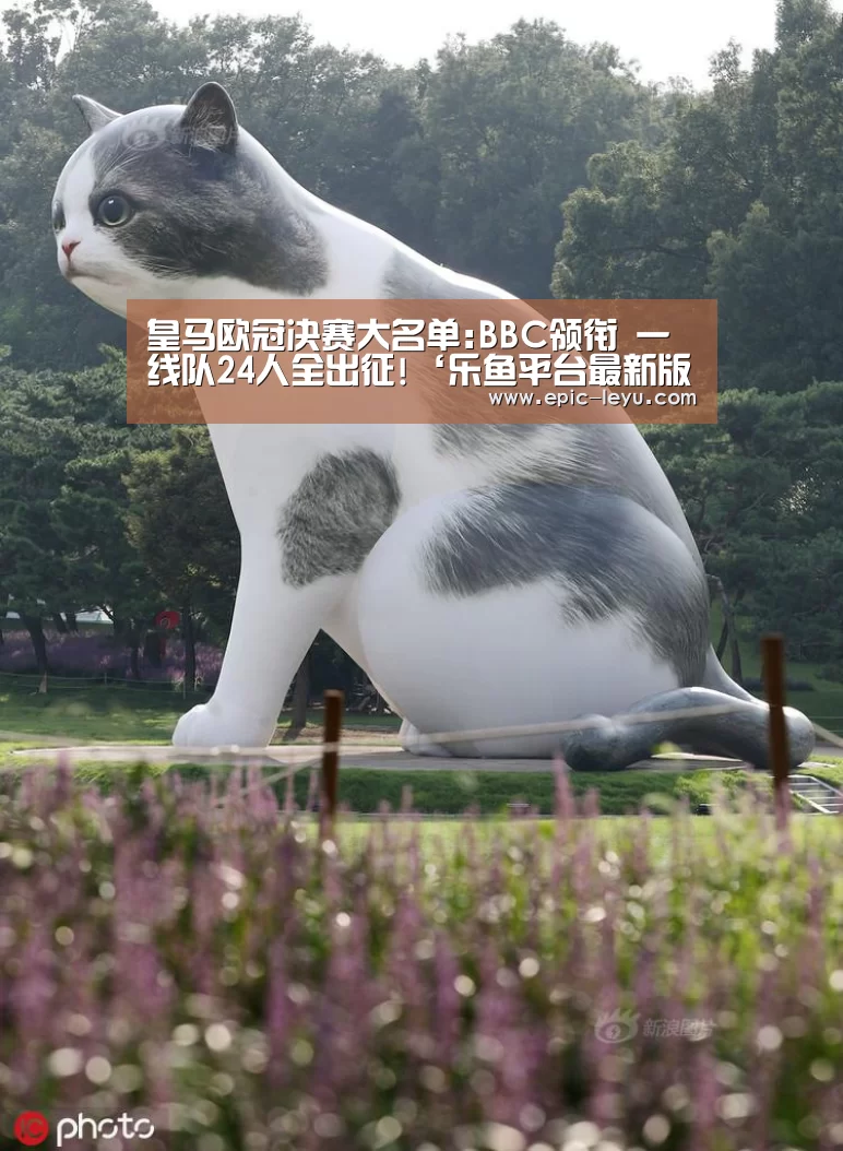 乐鱼体育平台官网
