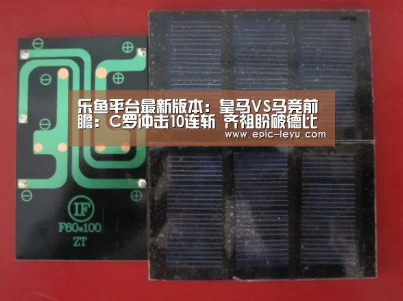乐鱼体育平台官网