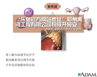 乐鱼平台最新版本