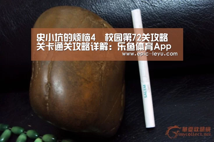 乐鱼平台最新版本