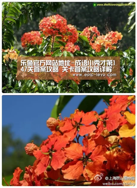 乐鱼官方网站地址-成语小秀才第147关答案攻略 关卡答案攻略详解(图2) 乐鱼体育平台官网