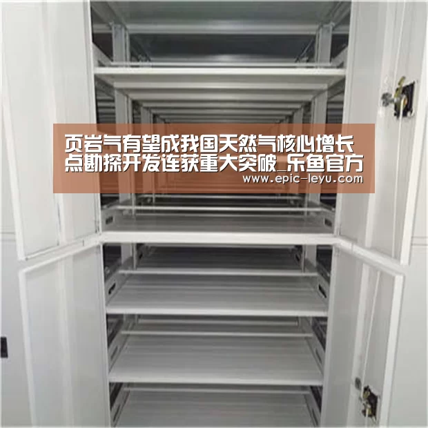 页岩气有望成我国天然气核心增长点勘探开发连获重大突破_乐鱼官方网站地址(图1) 乐鱼体育App下载